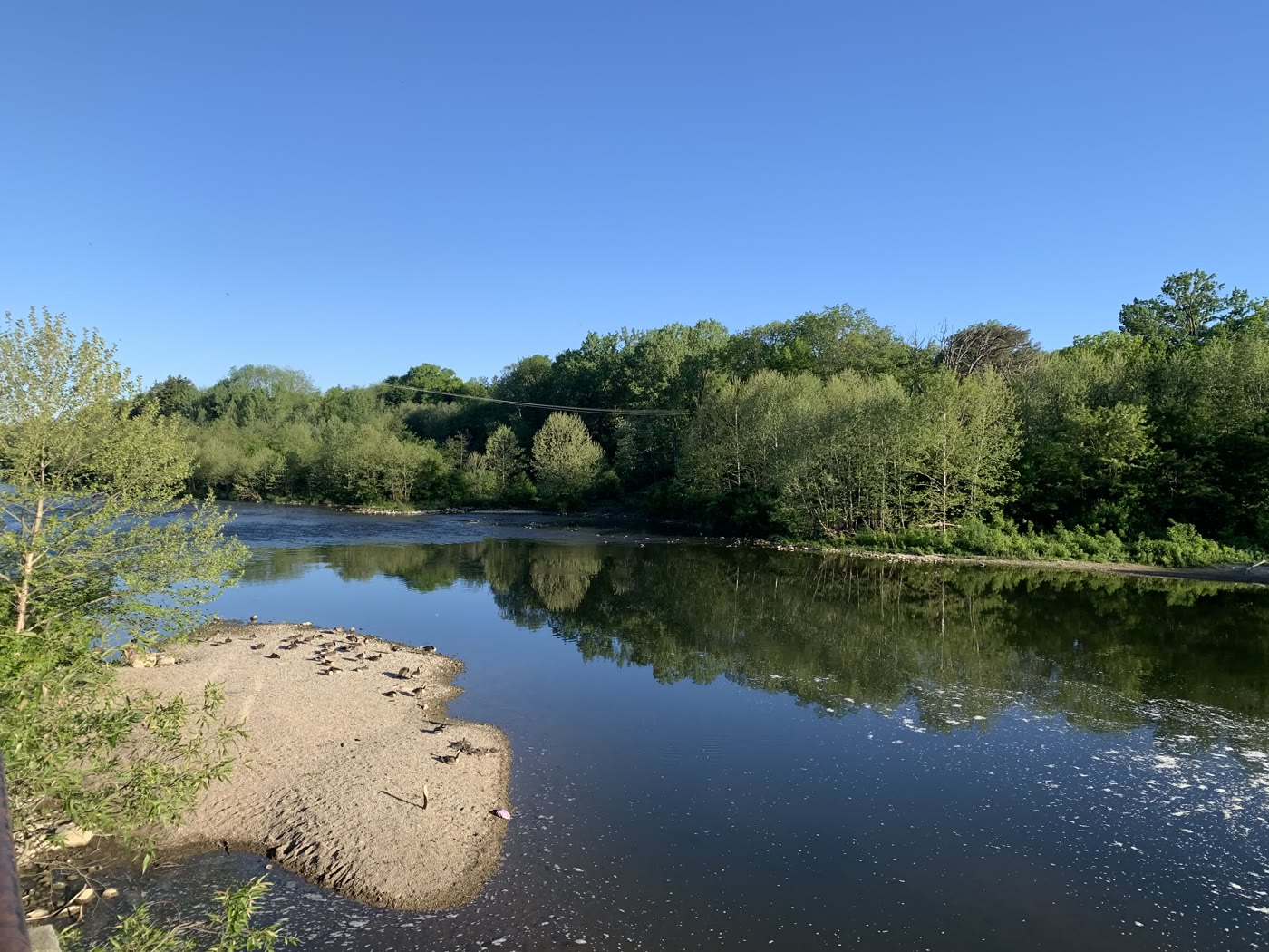 The Thames River winding past wooded banks in London, Ontario